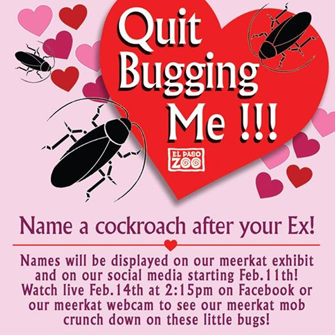 name a cockroach after your ex!